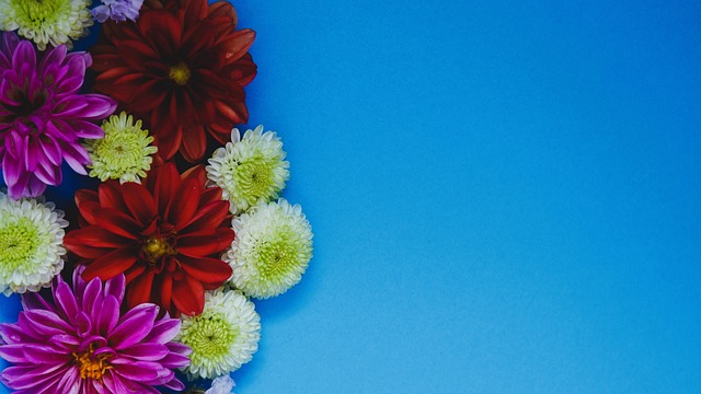 日职乙半场：山田元气屡献神扑，秋田暂0-0仙台